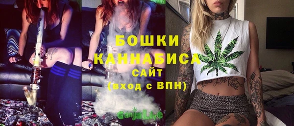 МДМА Ельня