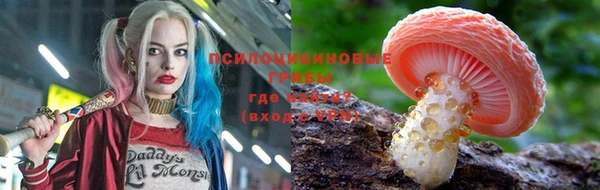 хмурый Елабуга