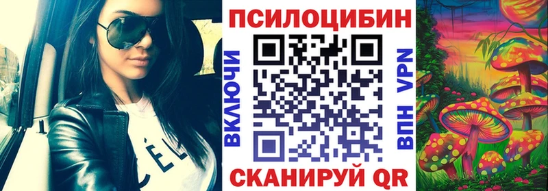 Купить закладки  Михайлов  Галлюциногенные грибы MAGIC MUSHROOMS 